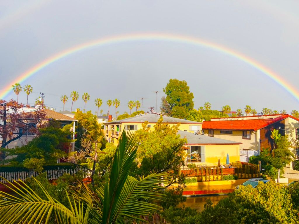 A full rainbow over houses, palm trees and a wet street